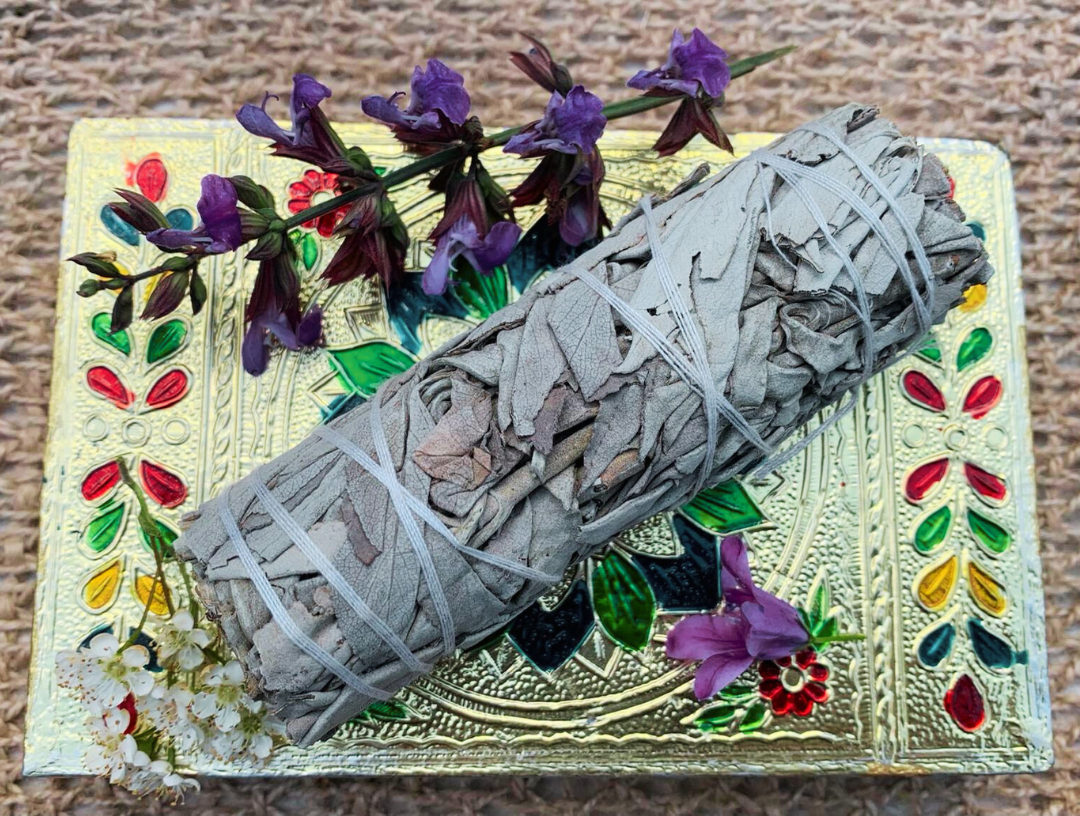 California White Sage - Image 2