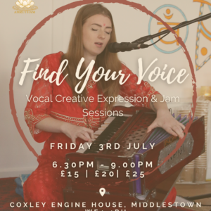 Find Your Voice