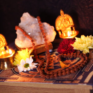 Rudraksha Mala Large