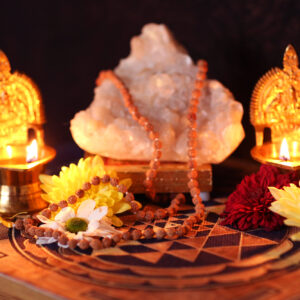 Rudraksha Mala Medium